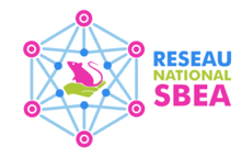 National SBEA network