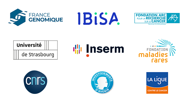 Les partenaires de GenomEast sont : France génomique, Ibisa, la fondation ARC pour la recherche, l'Université de Strasbourg, l'Inserm, la fondation de recherche sur les maladies rares, le CNRS, le PIA et la ligue contre le cancer