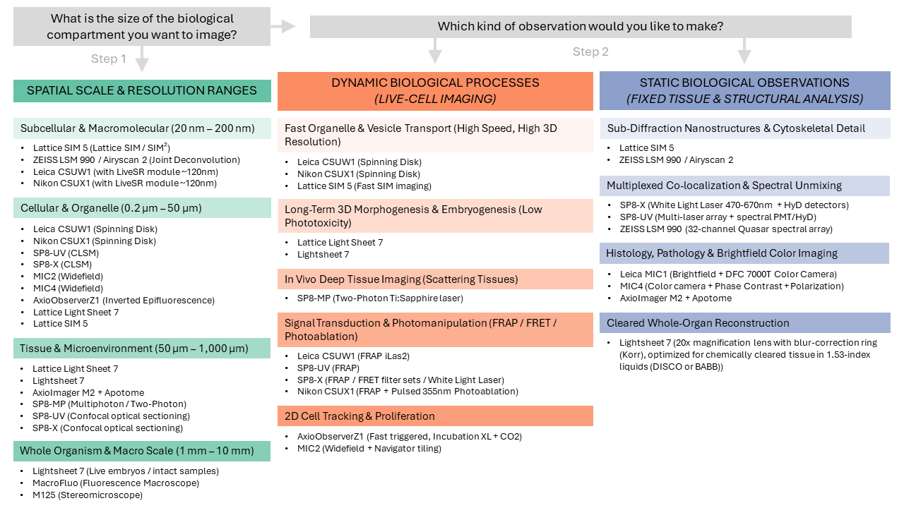 ICI Microscopy System Selection Guide Decision chart for selecting a microscopy system based on spatial scale, dynamic live-cell processes, or static fixed-tissue observations.